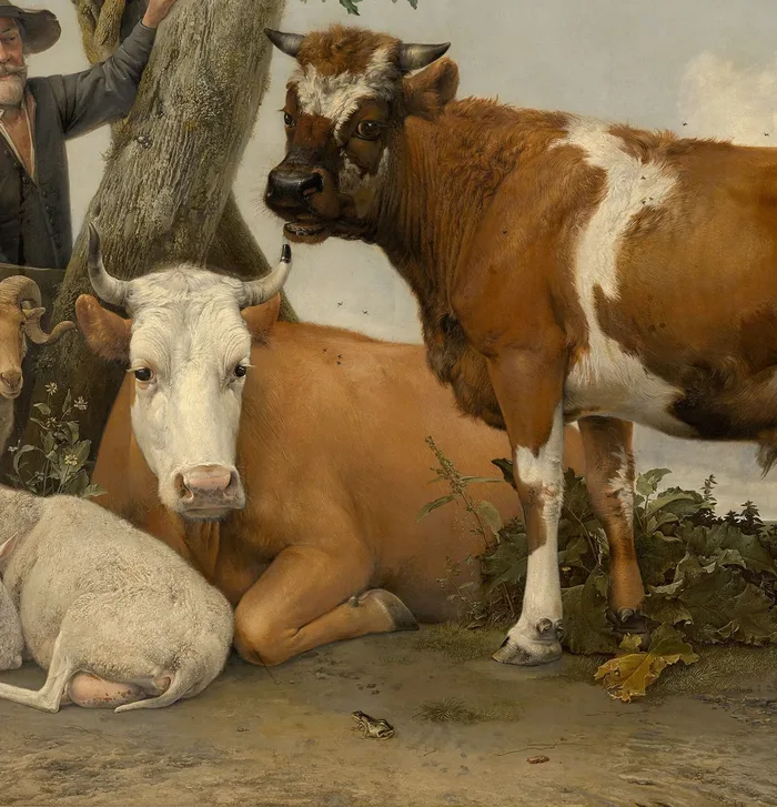 The Bull
