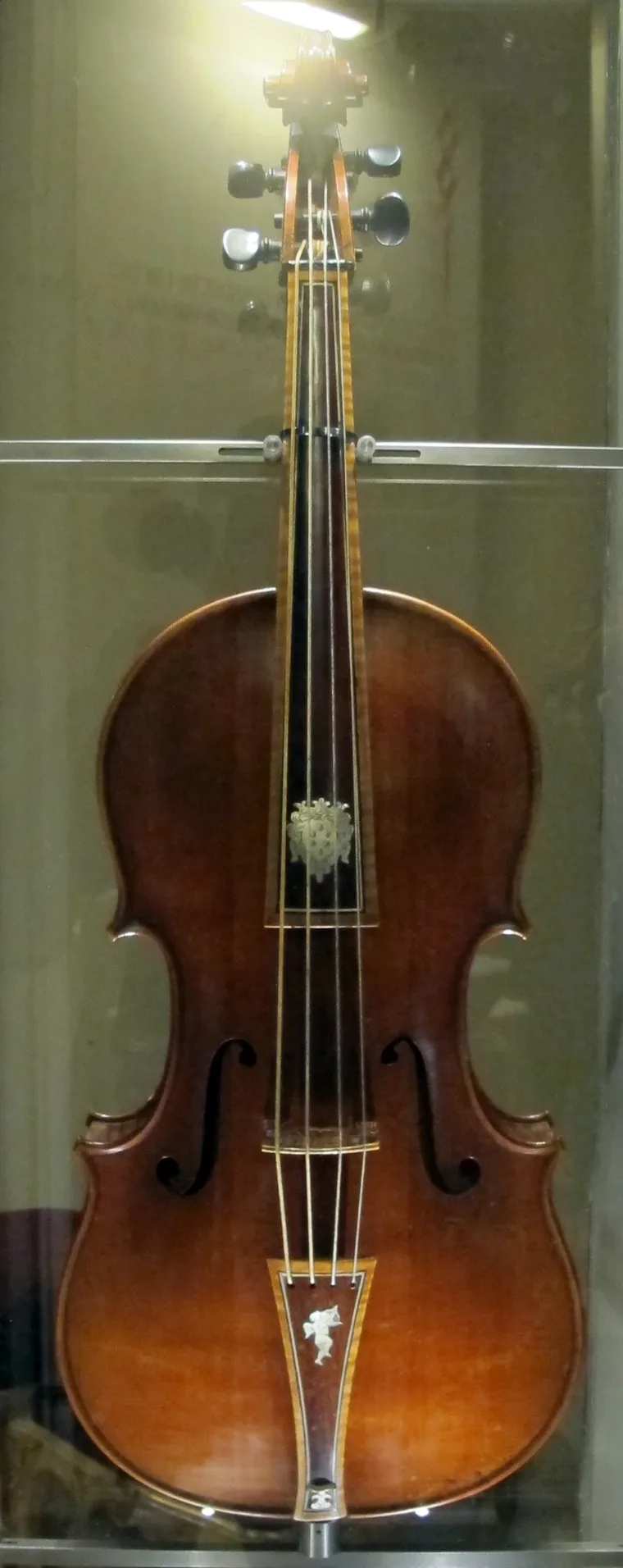 Medici Tenor Viola