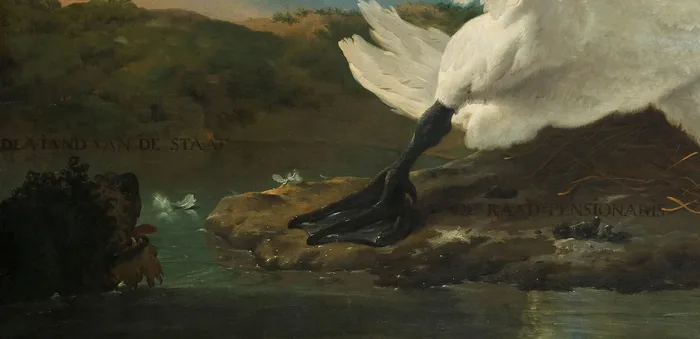 The Threatened Swan