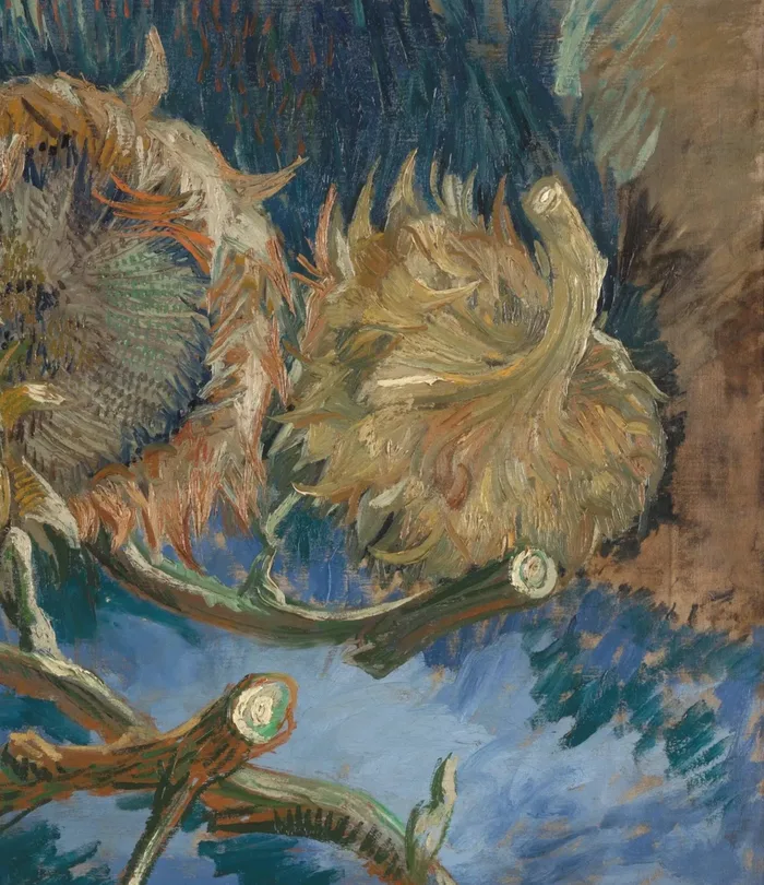 Four Withered Sunflowers