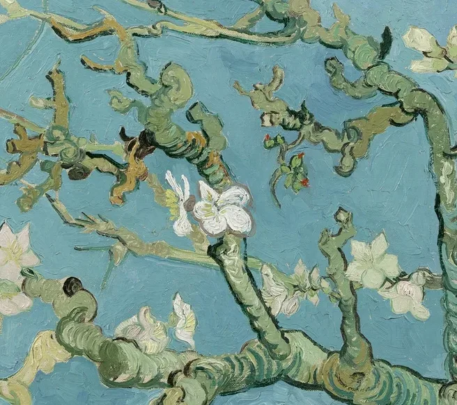 Almond Blossom
