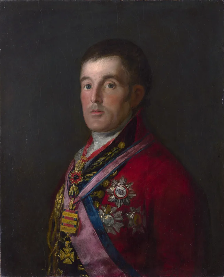Portrait of the Duke of Wellington