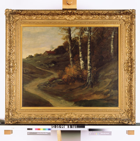 Landschap met berken