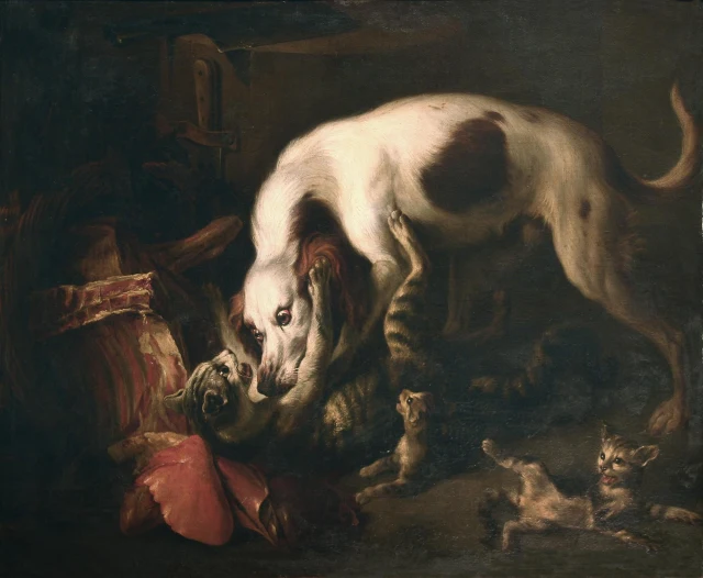 Cão e gatos