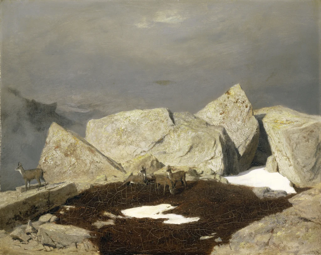Hochgebirgslandschaft mit Gemsen