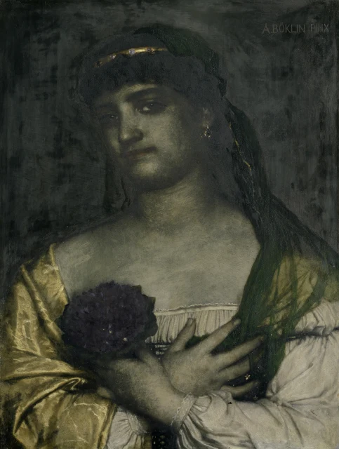 Viola