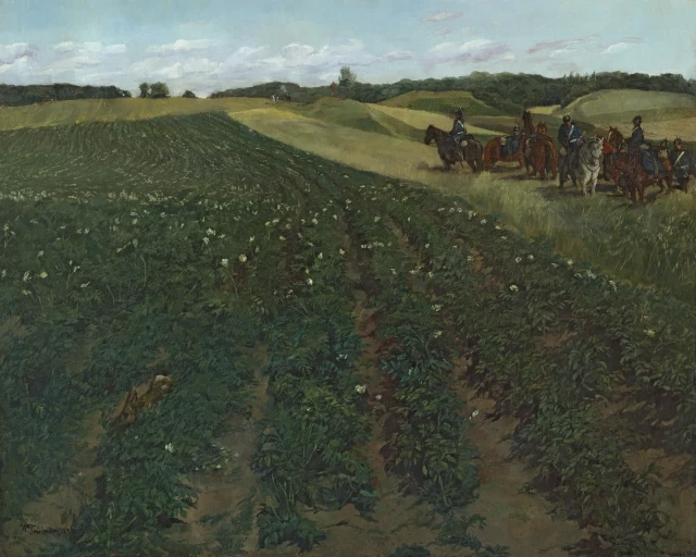 Potato Field near Wessling, Upper Bavaria