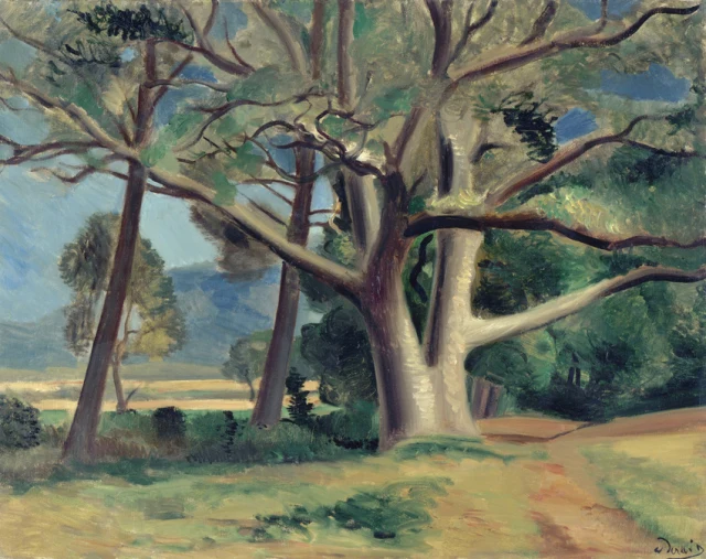 The Big Tree