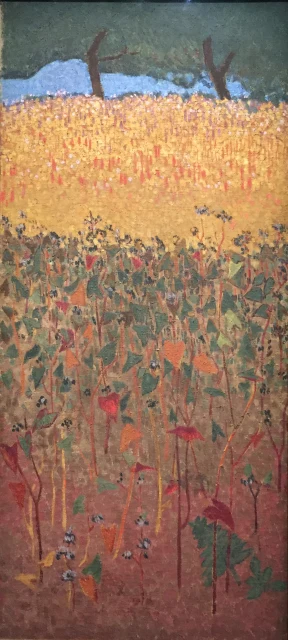 The Field of Golden Wheat and Buckwheat