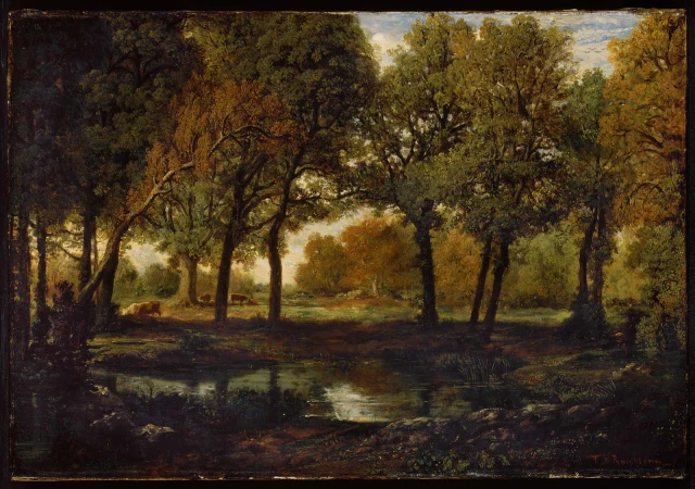 Pool in the Forest