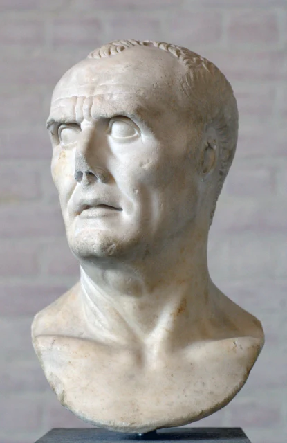 Bust of a Roman, the So-called "Marius"