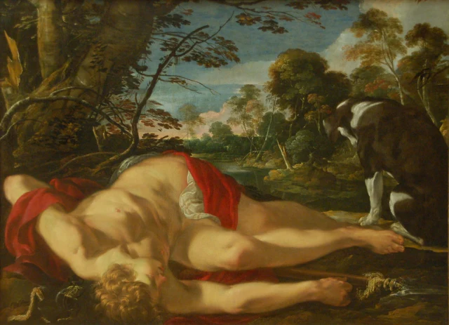 Dead Adonis