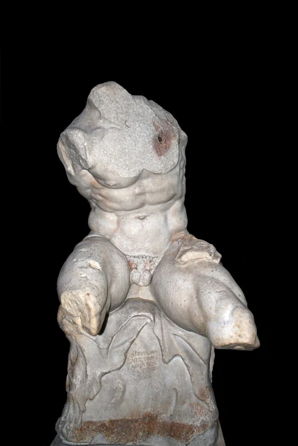 Belvedere Torso