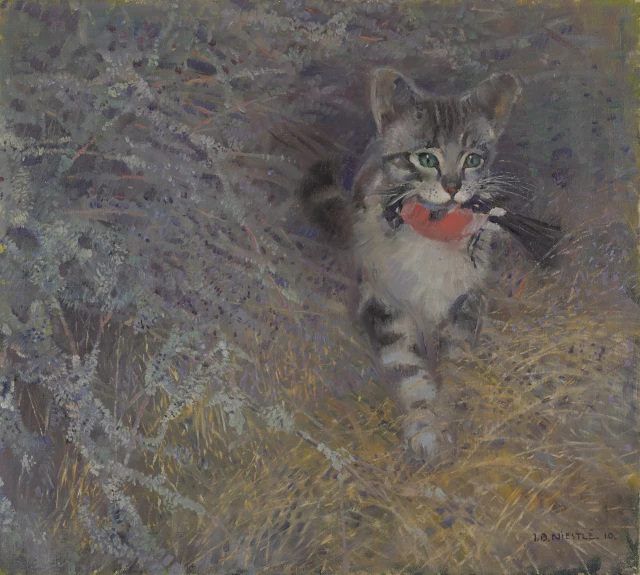 Wildernde Katze