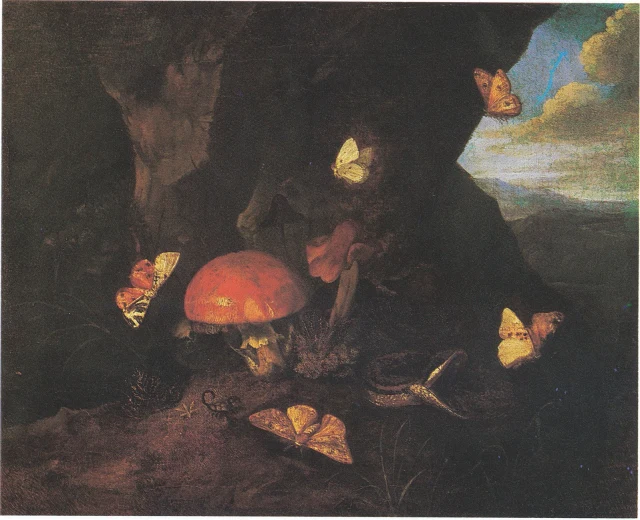 Forest floor still life with mushrooms, a snake and butterflies