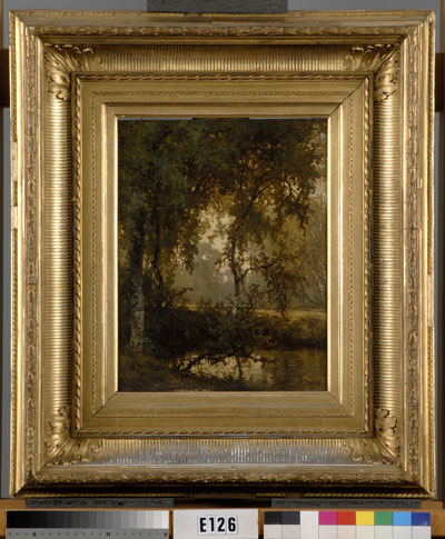 Paisaje boscoso con estanque