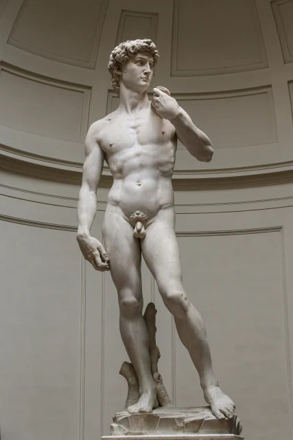 David