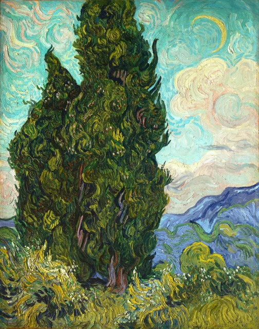 Cypresses