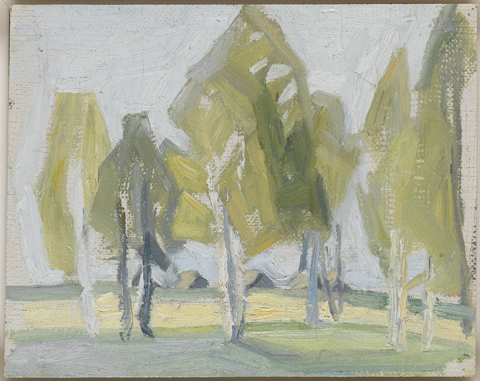 Paisaje con árboles