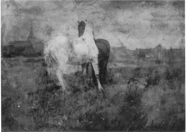Gathered Horses