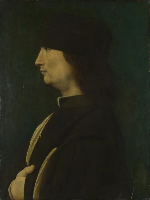 Portrait of a Man in Profile