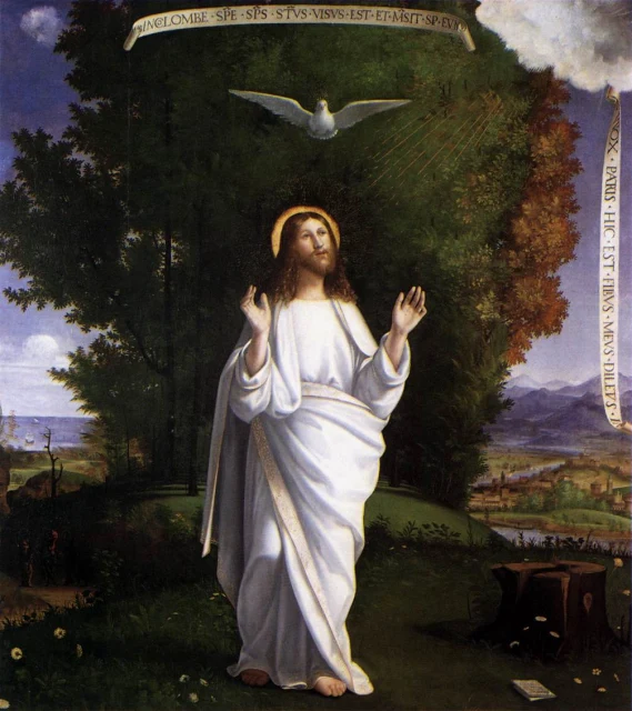 Transfiguration