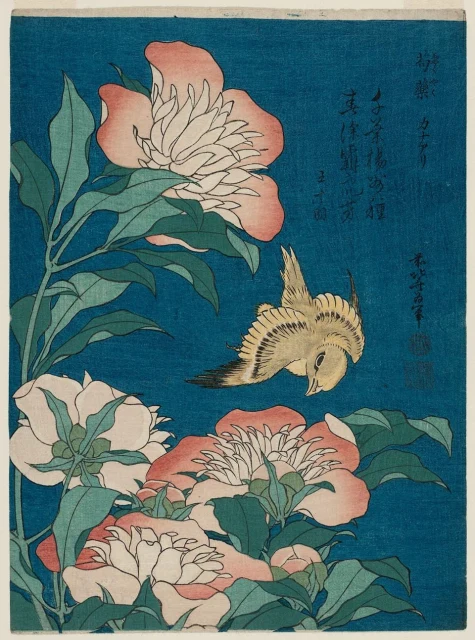 Peonies and Canary (Shakuyaku, kanaari), from an untitled series known as Small Flowers