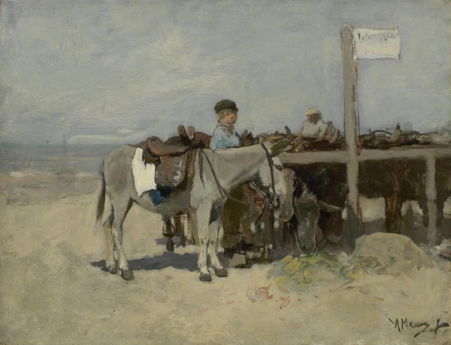 Donkey Stand on the Beach at Scheveningen