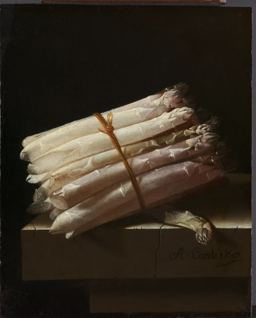 Still Life with Asparagus