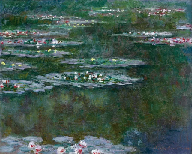 Кувшинки