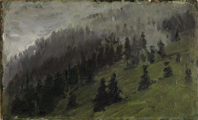 Fog between firs