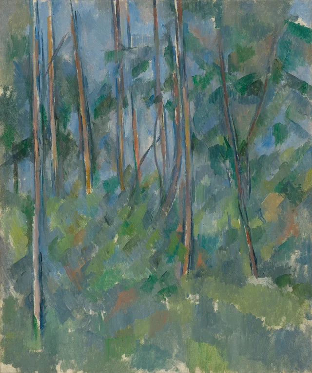 Forest Interior