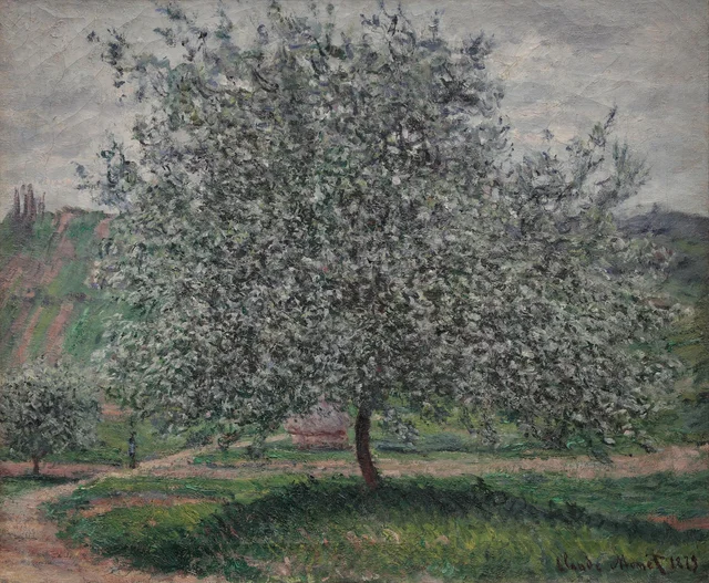The apple tree