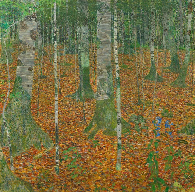 Bosco di betulle