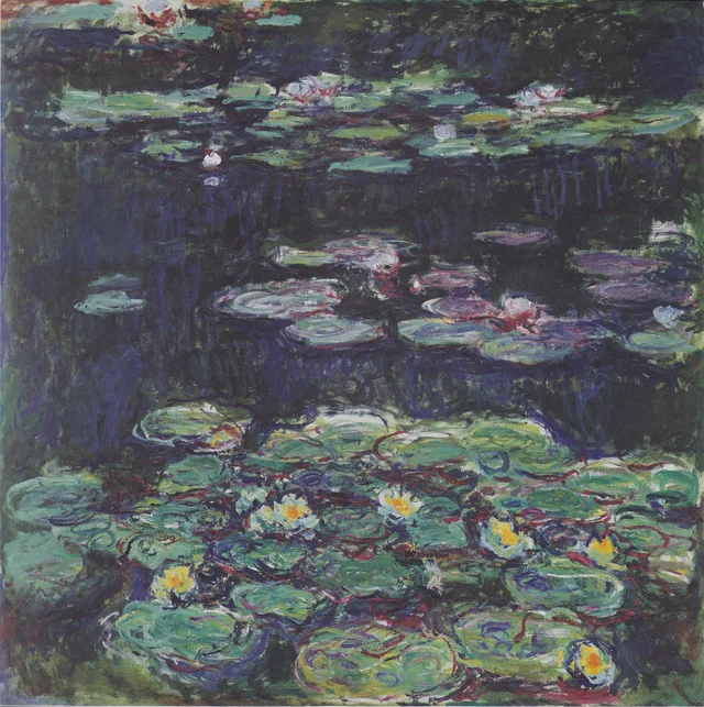 White and Yellow Water Lilies