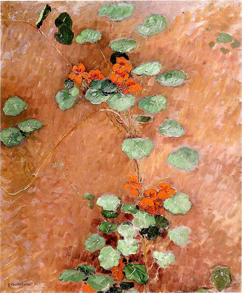 Nasturtiums