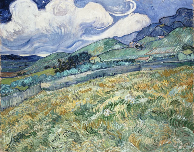 Paesaggio montuoso dietro l'ospedale Saint-Paul