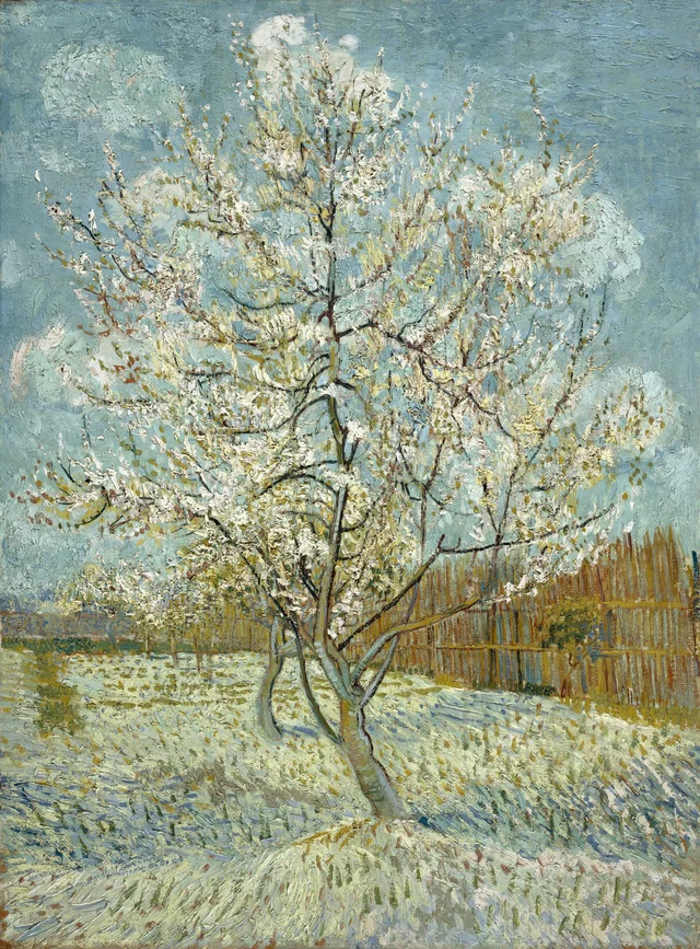 The pink peach tree