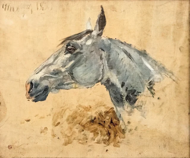 El caballo blanco 'Gazelle'