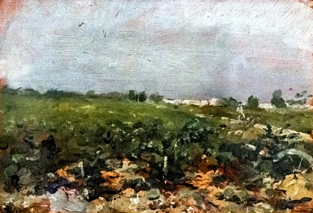 Céleyran, vista de los viñedos