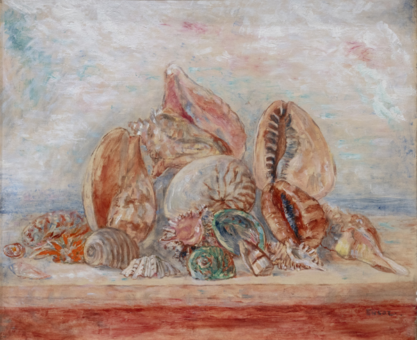 Seashells