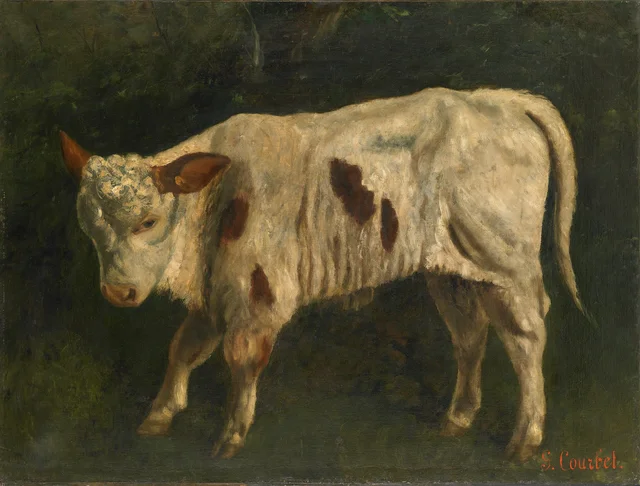 Le Veau blanc