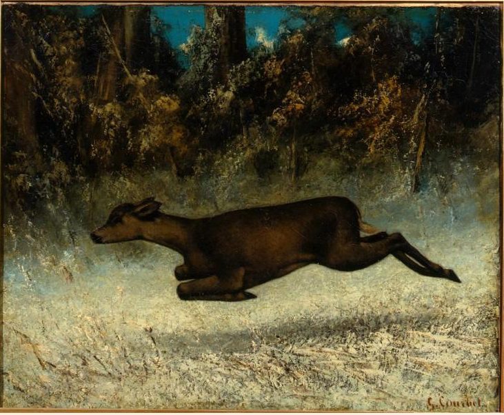 Cervo che salta