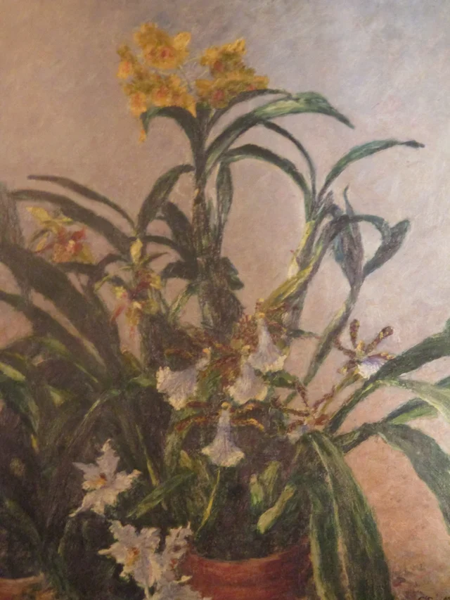 Gelbe Orchideen