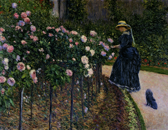 Rosen im Garten in Petit Gennevilliers