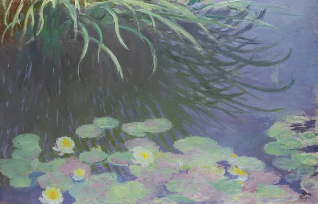 Nymphéas avec reflets de hautes herbes