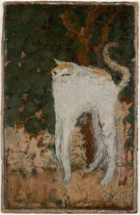 Le Chat blanc