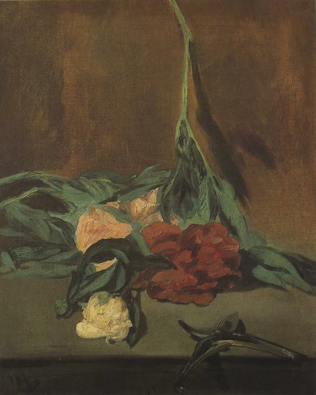 Tige de pivoines et Sécateur