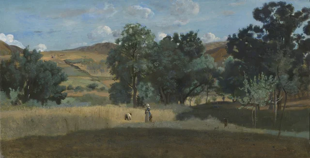Wheatfield in the Morvan