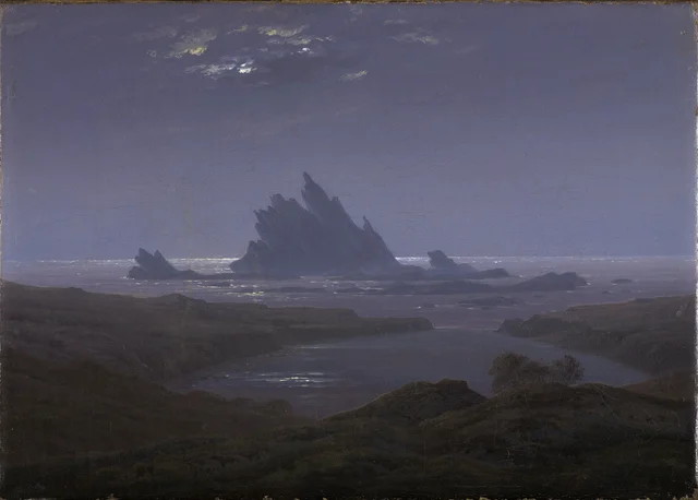 Reefs by the Seashore